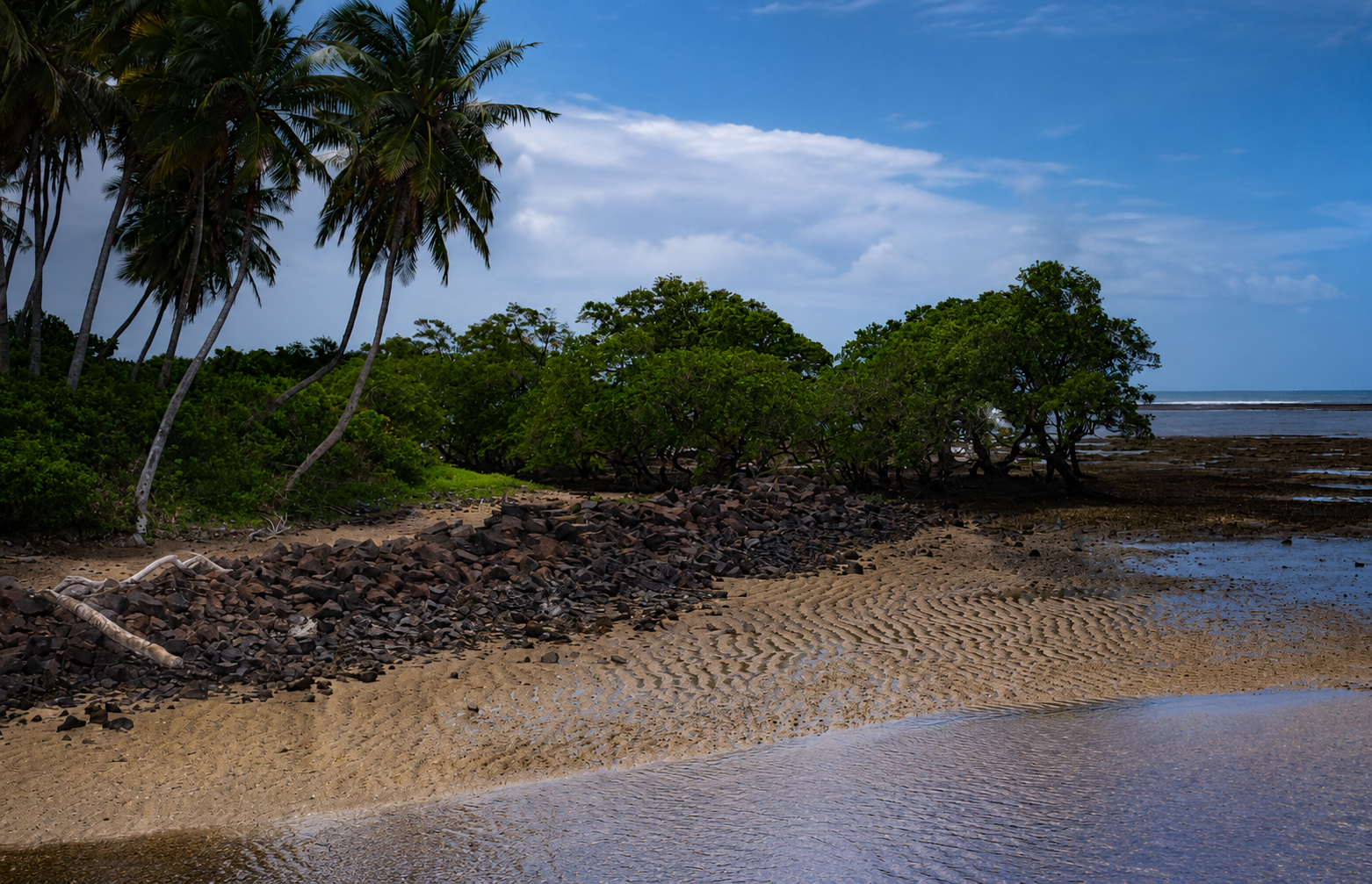 Ação de educação ambiental celebra o Dia do Manguezal em Itaparica
